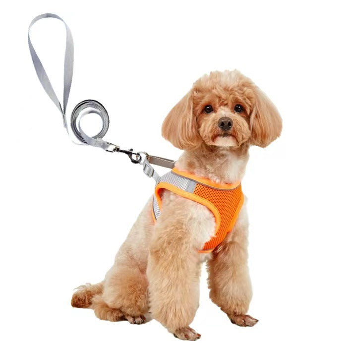 Dog Leash