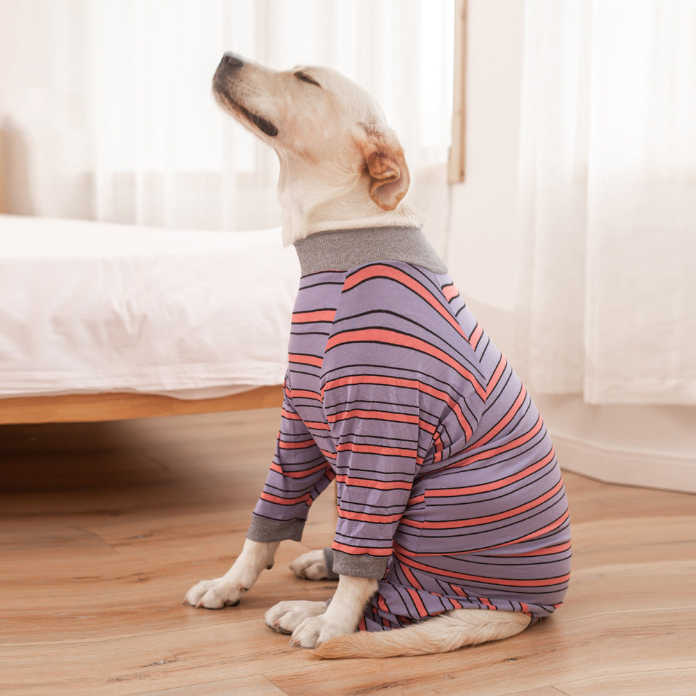 Dog Clothes