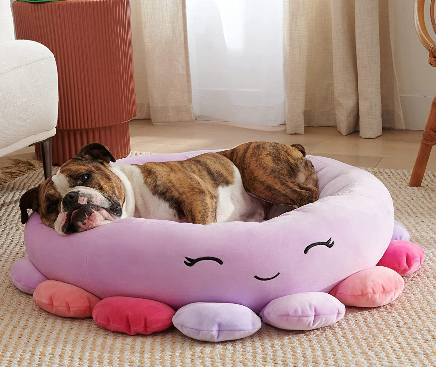 Dog Bed