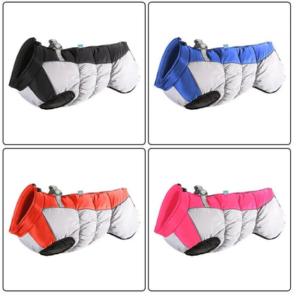 Dog Jacket
