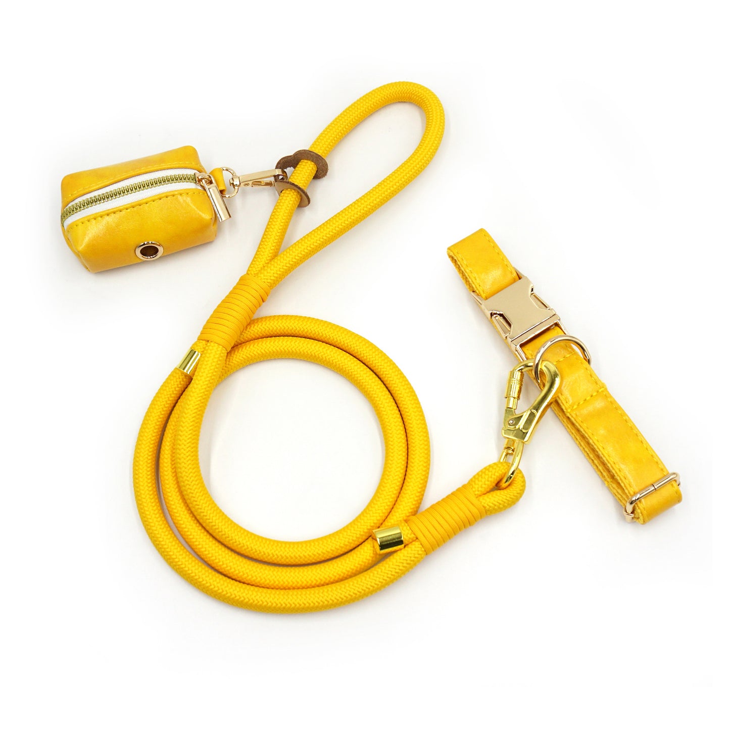Dog Leash