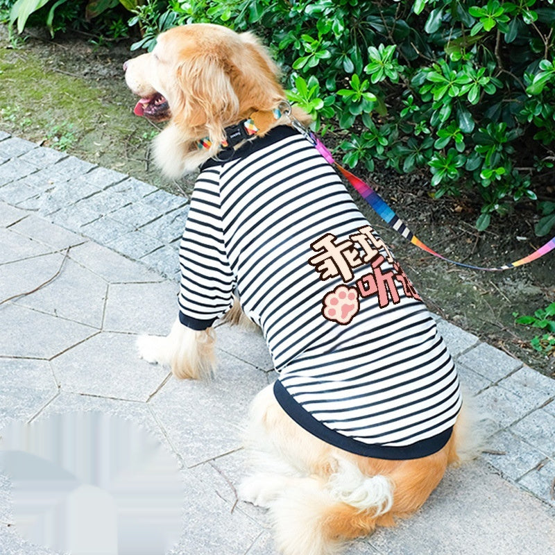 Dog Clothes