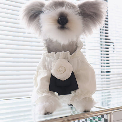 Dog Clothing