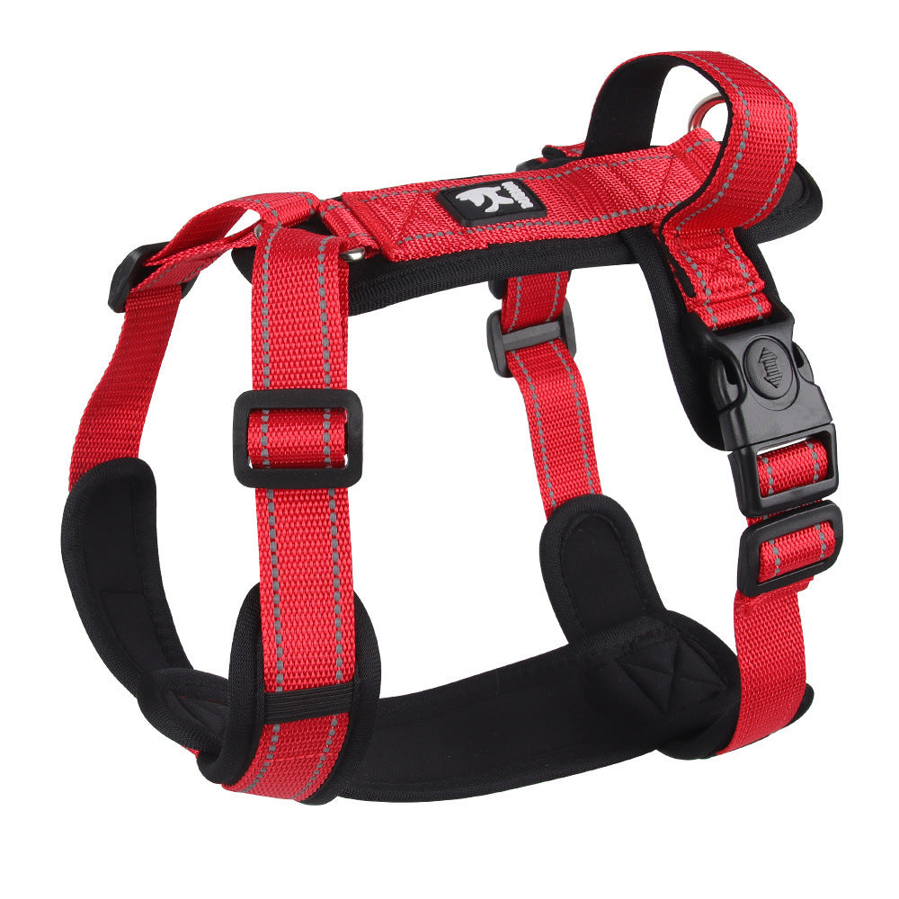 Dog  Leash