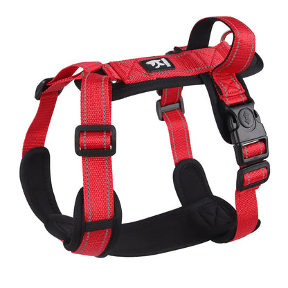 Dog  Leash