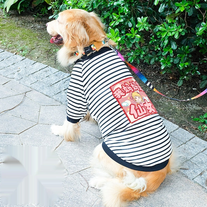 Dog Clothes