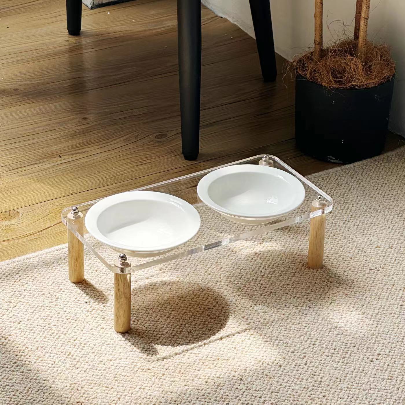 Dog Bowl