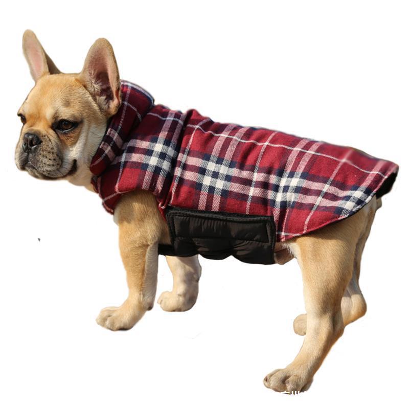 Dog Clothes