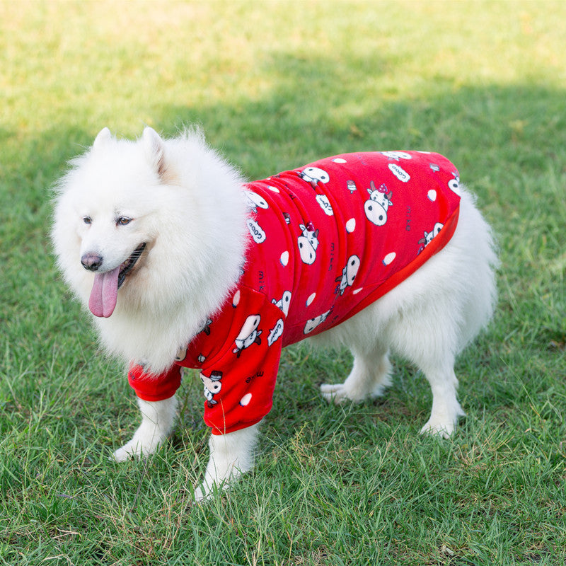 Dog Clothes