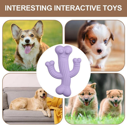 Dog Toy