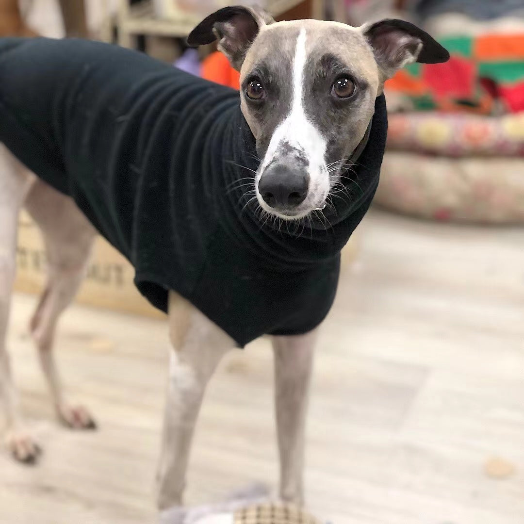 Dog Clothing