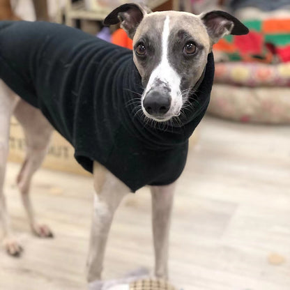 Dog Clothing
