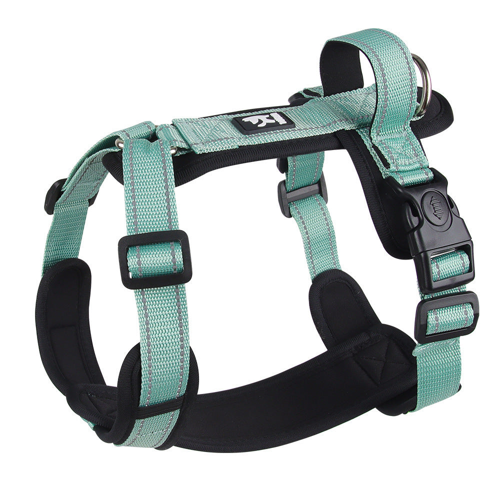 Dog  Leash