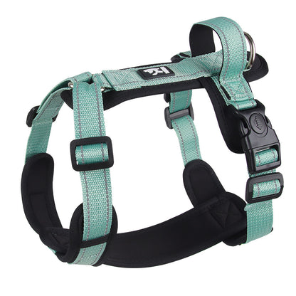 Dog  Leash