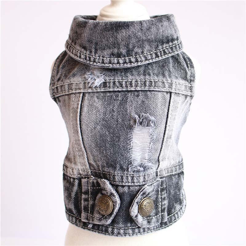 Dog Clothes